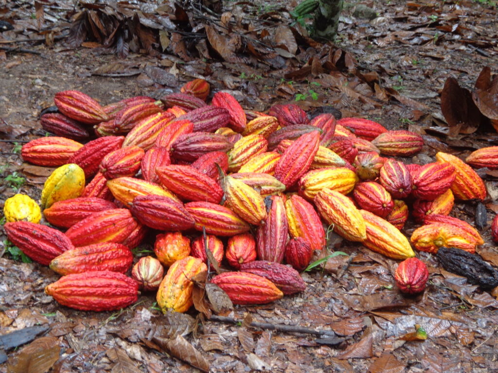 ACOPAGRO