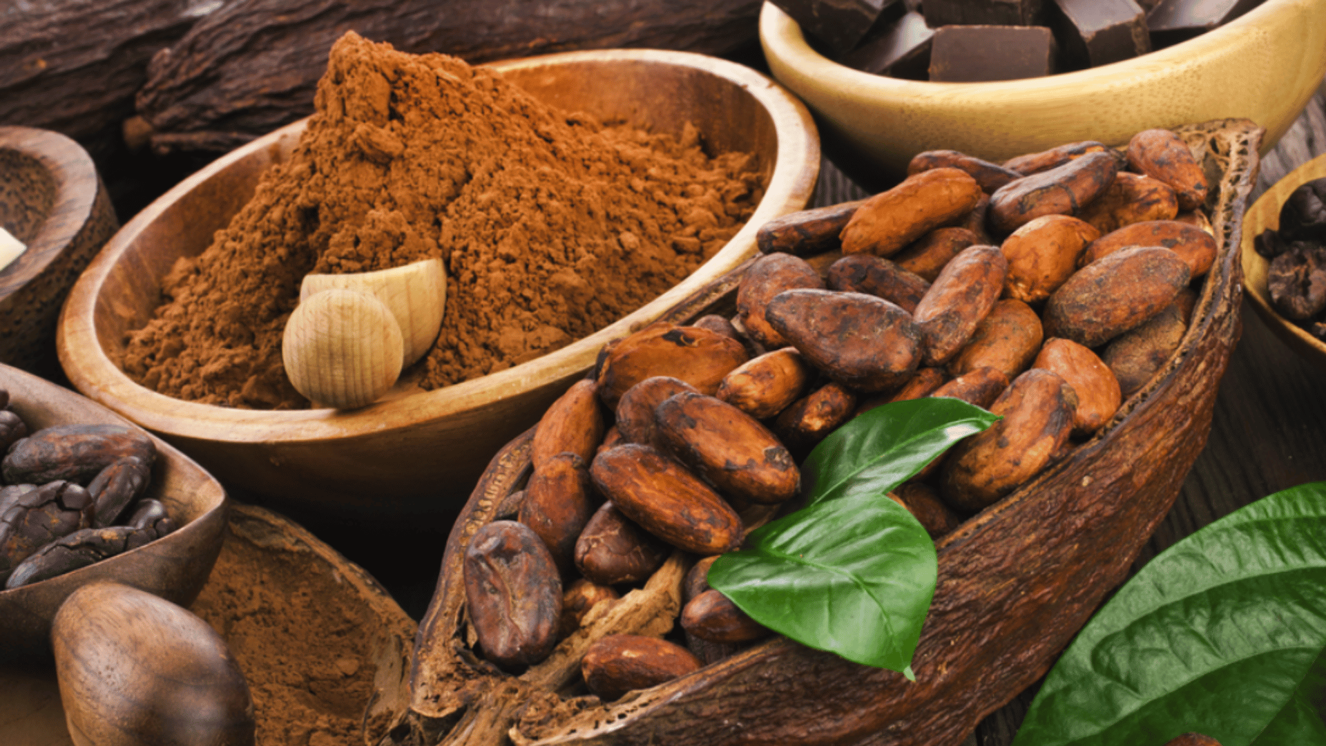 From cocoa to ready-to-buy chocolate