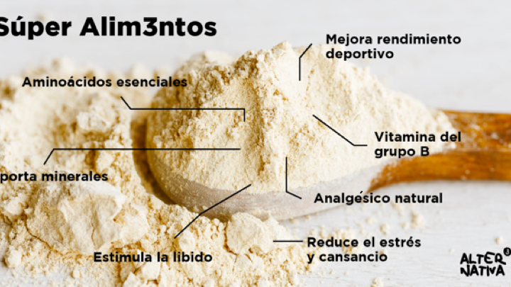 Maca