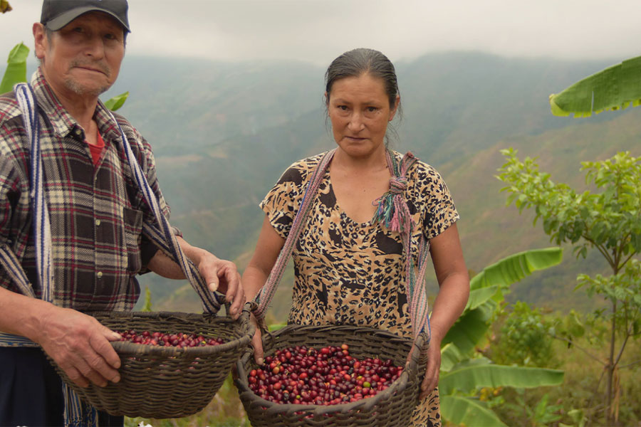 laguna de los condores peru cooperative