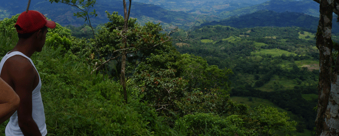 dia mundial del medi ambient