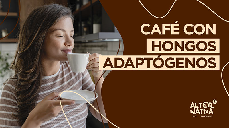 cafés arábica hongos adaptógenos