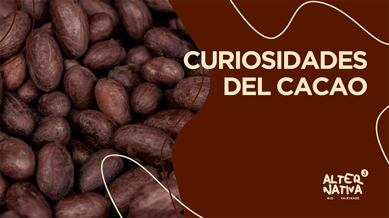curiosidades del cacao